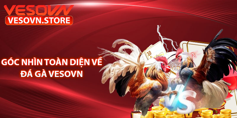 Góc nhìn toàn diện về đá gà vesovn 