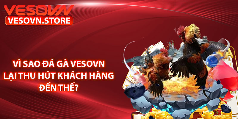 Vì sao đá gà vesovn lại thu hút khách hàng đến thế? 