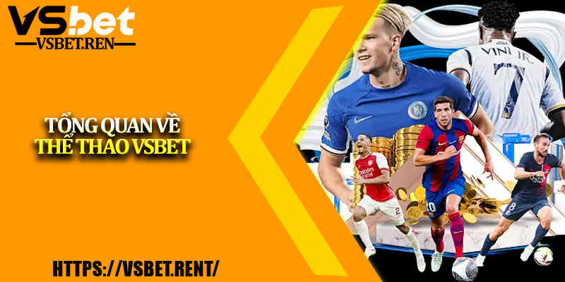 Tổng quan về Thể thao Vsbet